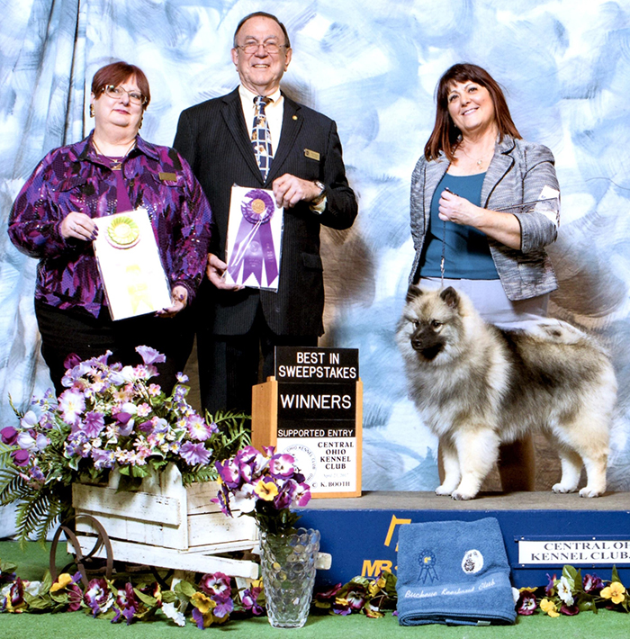 Cupid winning Best In Sweeps and WB at the Buckeye supported Specialty at 6 months old!